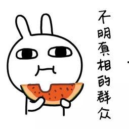 娱乐吃瓜酱喊着要吃饭,揭秘明星们的美食日常