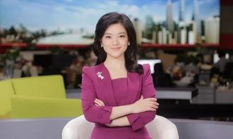 东方卫视新闻女主播华,东方卫视新闻女主播的卓越风采